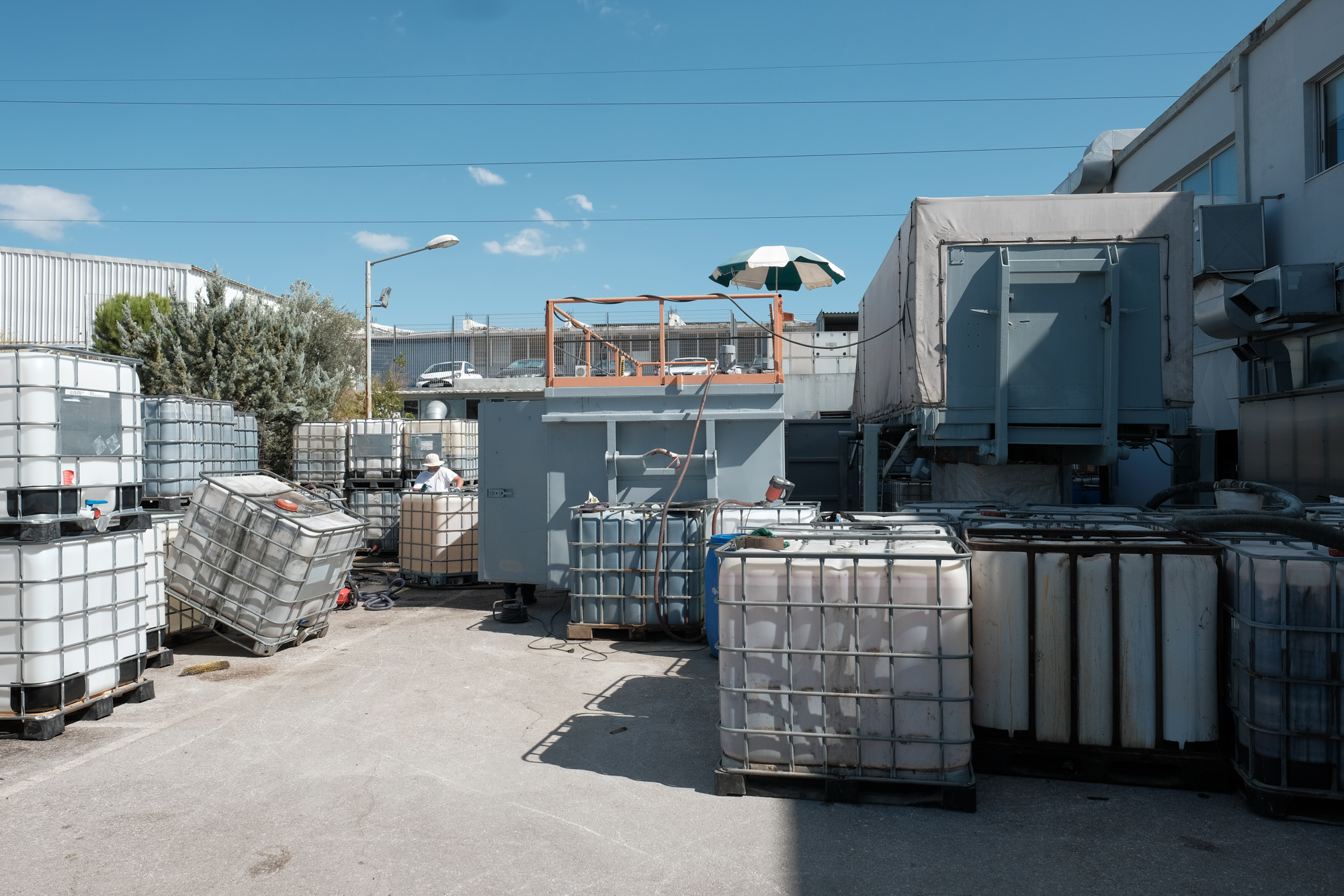 πράσινος προσανατολισμός