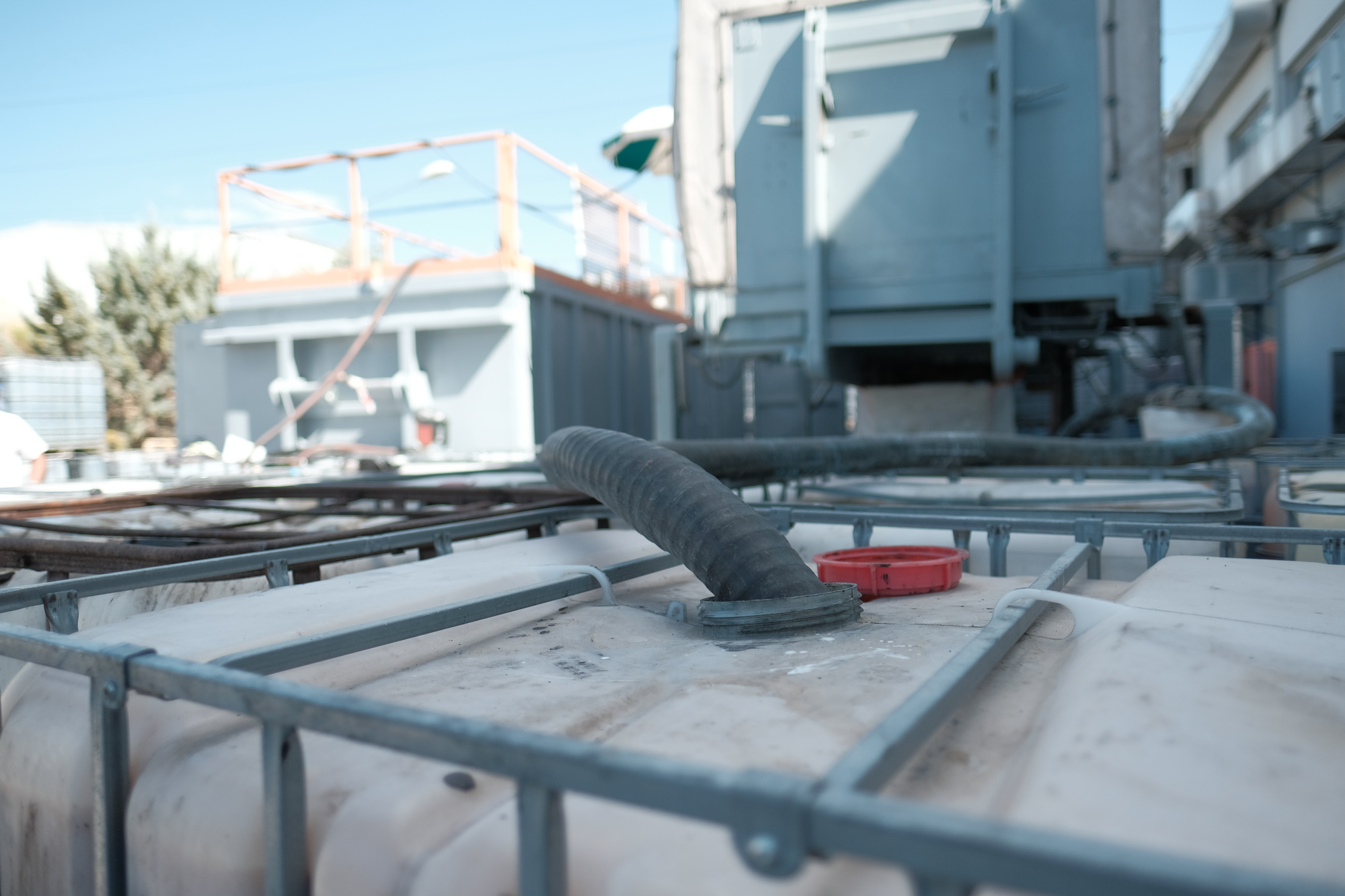 πράσινος προσανατολισμός