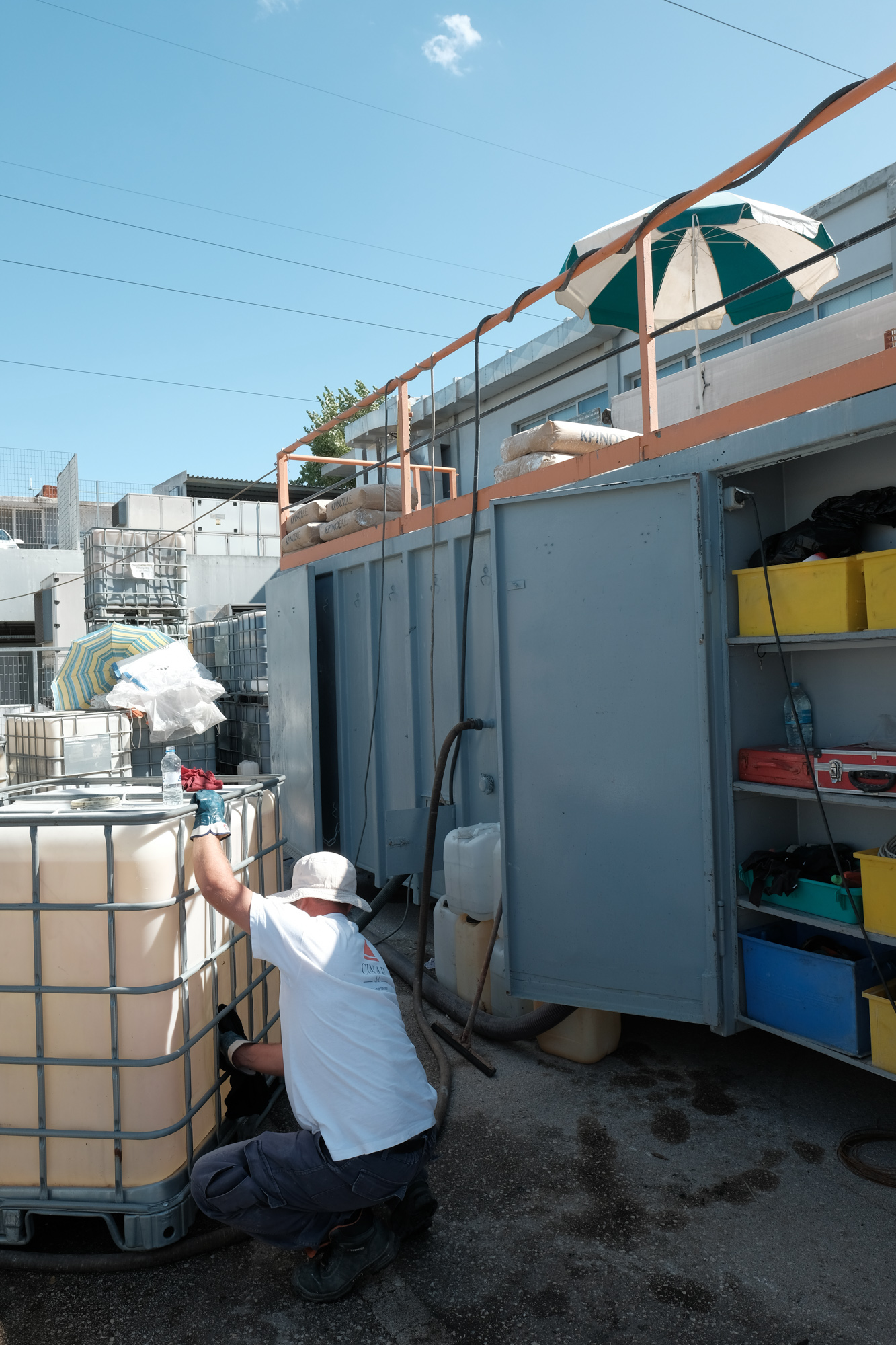 πράσινος προσανατολισμός